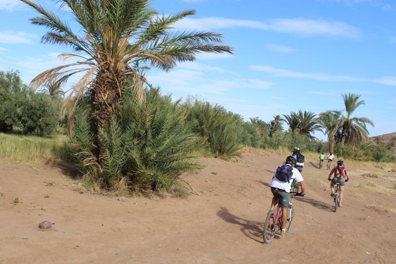 Sud Marocain en VTT:Oasis,vallée et Montagne